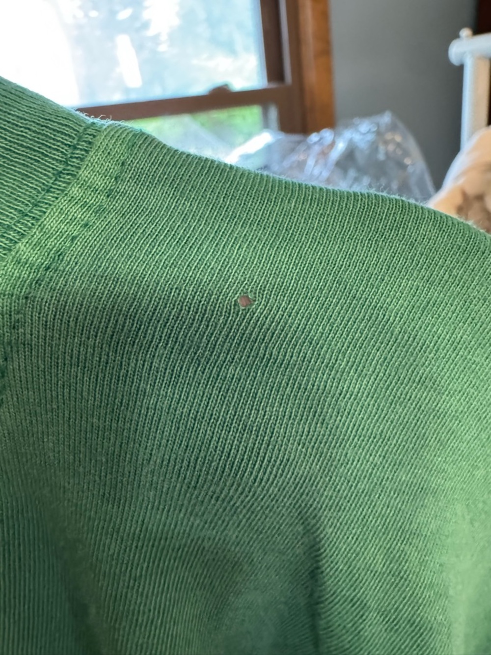 NWOT Free People We The Free Perfect Oversized Tee - Green - XL *IR* - Picture 9 of 10